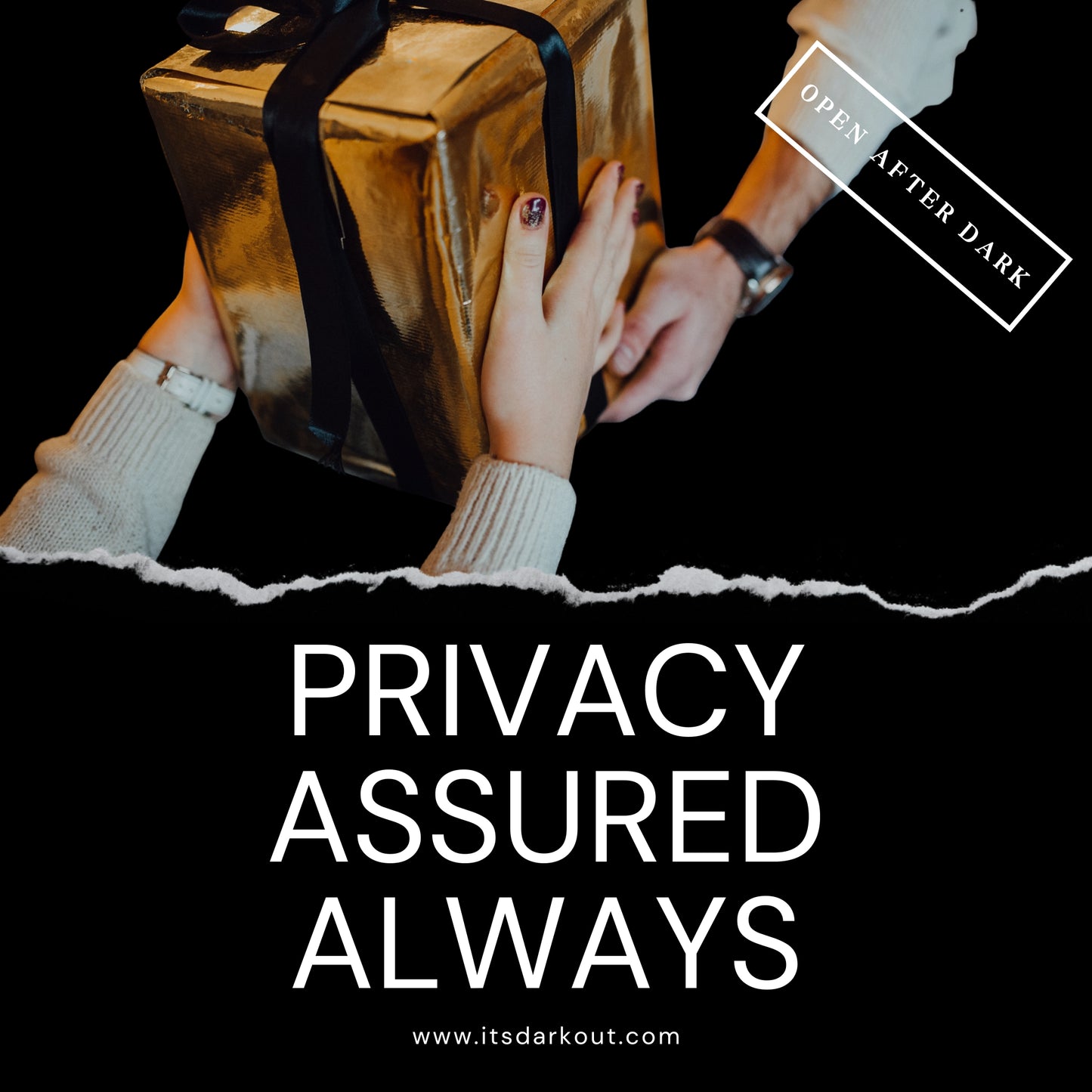 SilverVeil Premium Sex Chaise Lounger with Handles