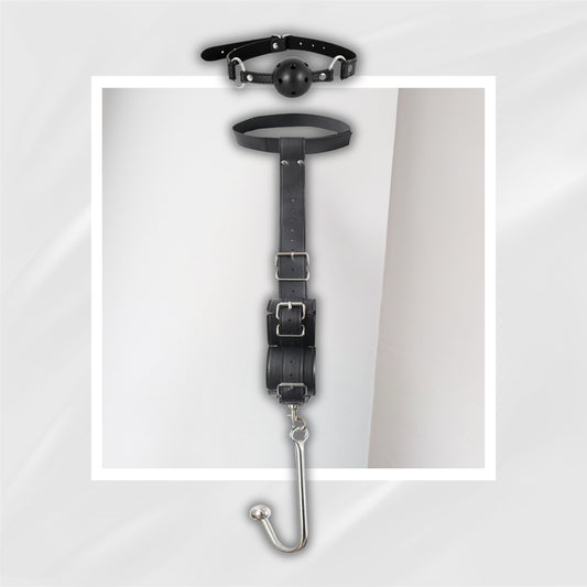 SteelDominion Anal Hook BDSM Restraint Set with Ball Gag