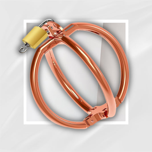 RoseLock Metal BDSM Cross Cuffs